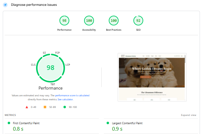 Google PageSpeed Insights report showing 98 performance, 100 accessibility, and 92 SEO for a breeder website.