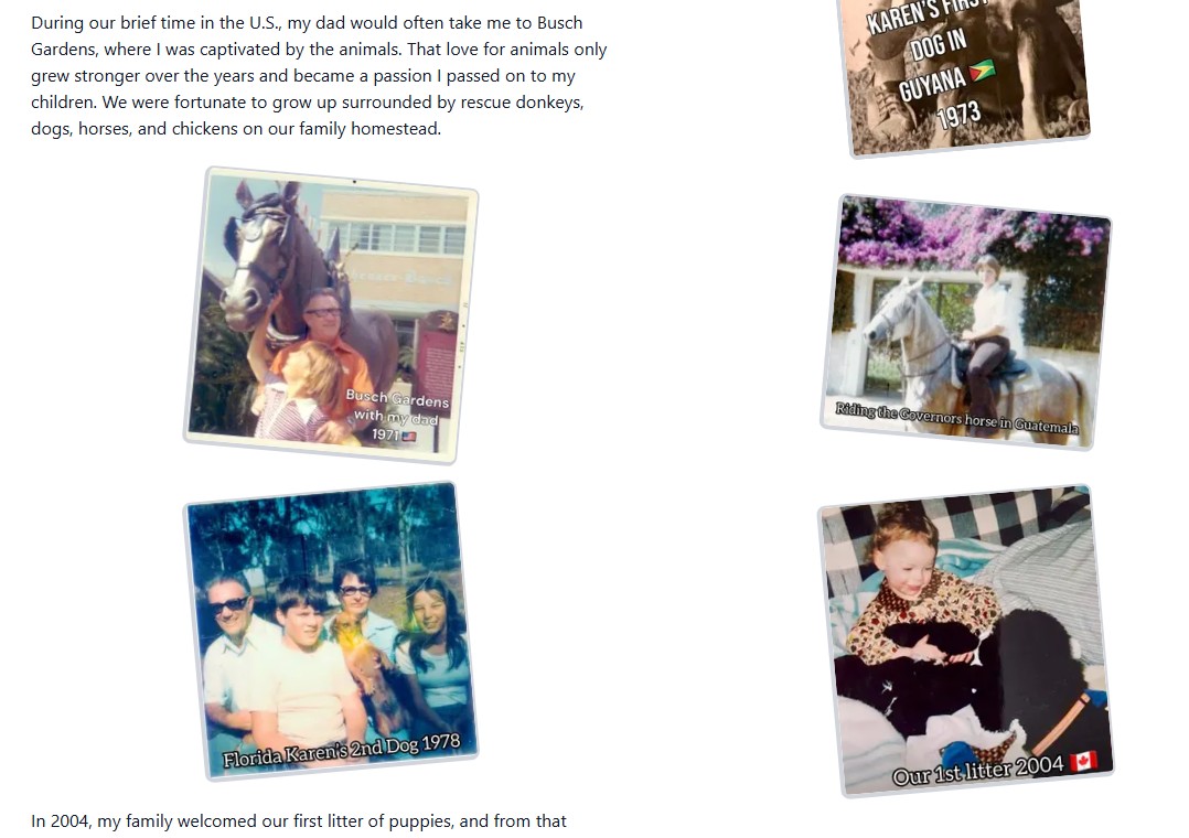 Company story page showing breeder with puppies